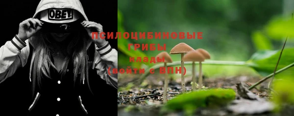 ГАЛЛЮЦИНОГЕННЫЕ ГРИБЫ Алексин