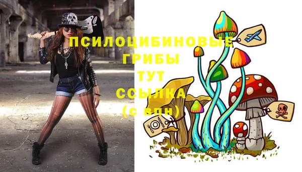 a pvp Абинск