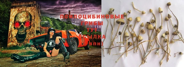 бутират Алексеевка
