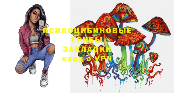 ГАЛЛЮЦИНОГЕННЫЕ ГРИБЫ Алексин