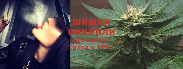 ГАЛЛЮЦИНОГЕННЫЕ ГРИБЫ Алексин