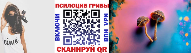 Галлюциногенные грибы Psilocybine cubensis как найти Талдом